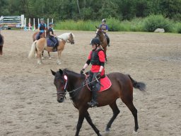 img_9429_web